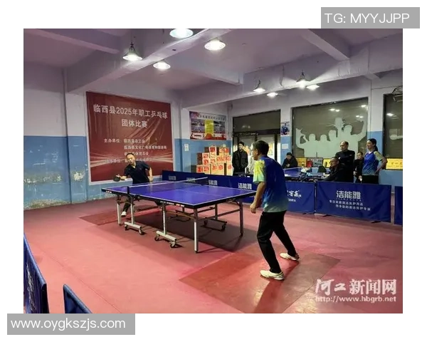 南京乒乓球队在奥运会中的耐力表现与团队精神的深度分析与点评