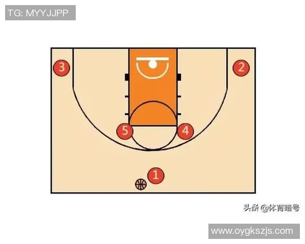 广州排球队反击战术解析及其在比赛中的应用策略探讨